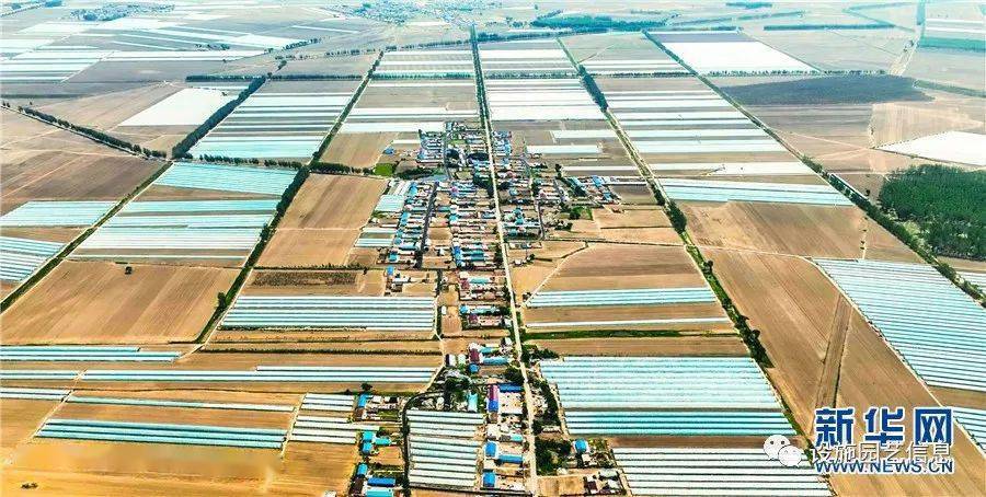 未来可期设施农业大有可为农民种出好日子