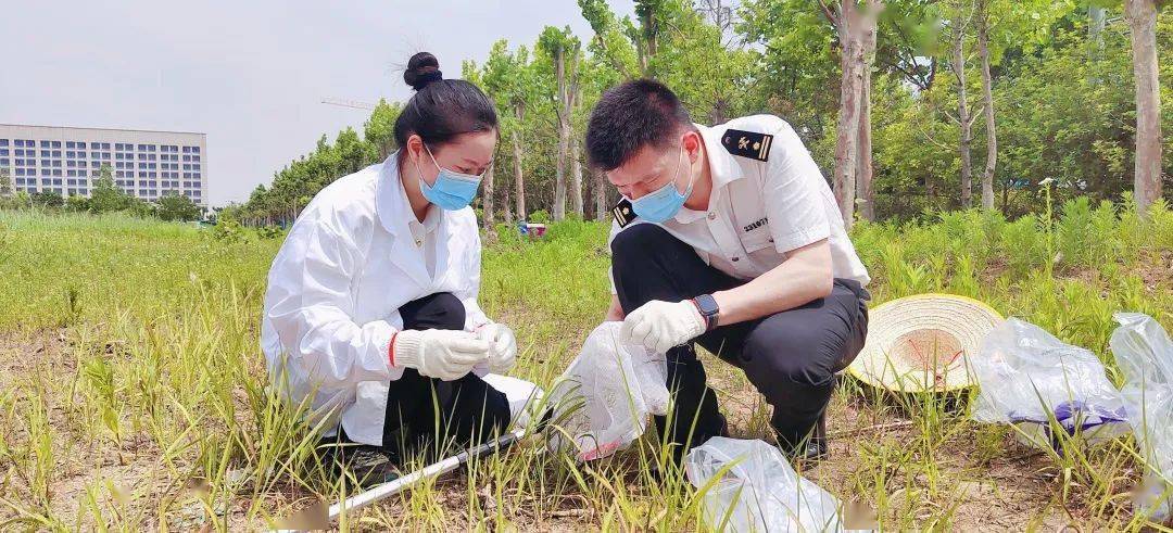 视频外来入侵物种海关日常普查流程