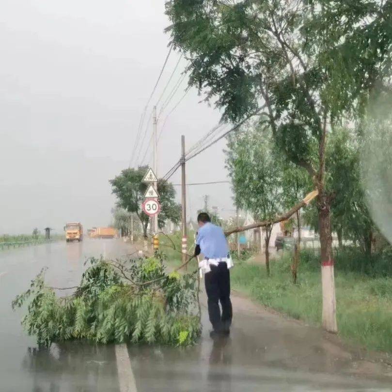 【100.6|危险】风雨折断路边树枝,交警冒雨紧急处置_韦波_张金龙_银川