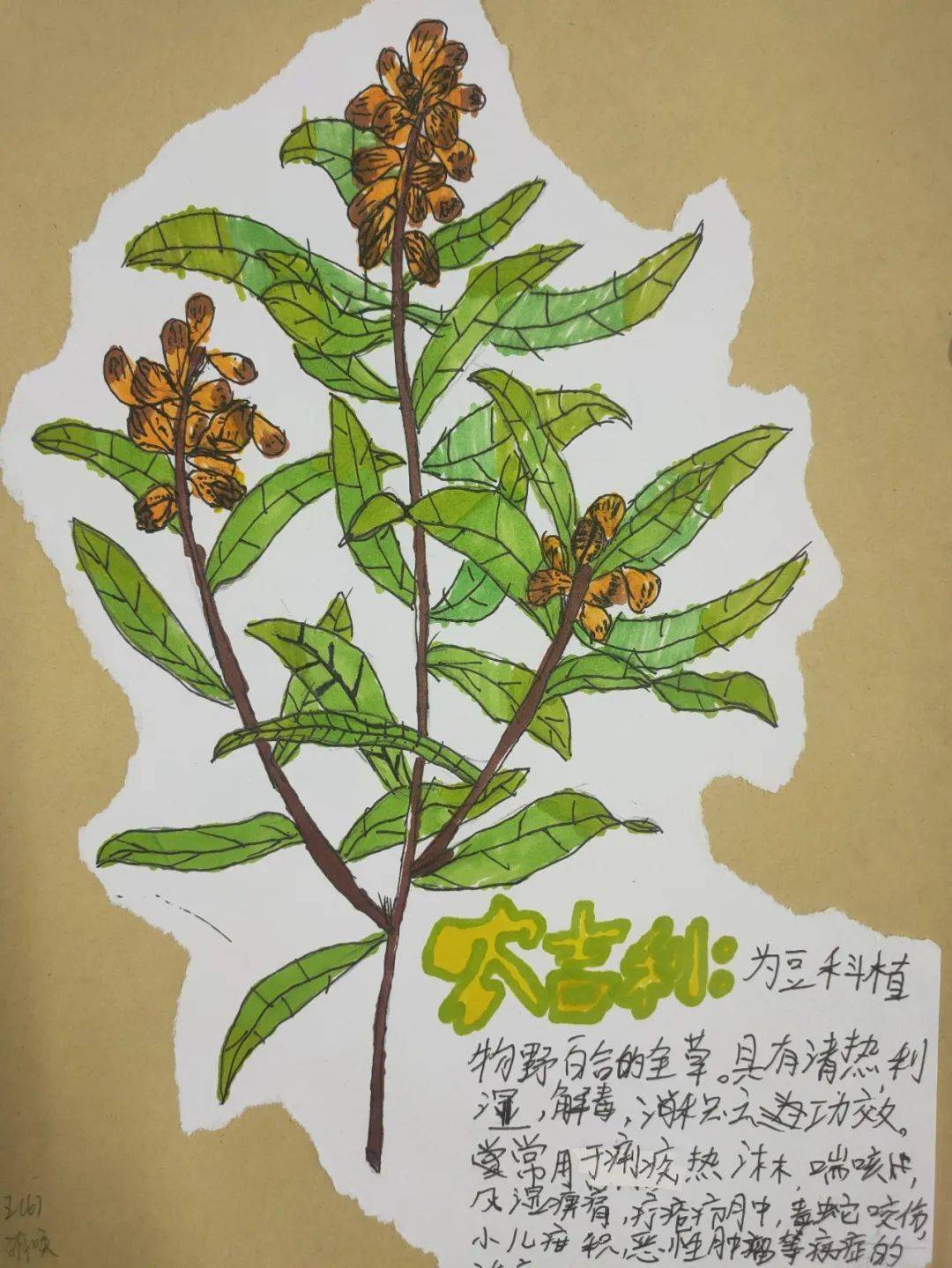 美育在线读经典绘百草