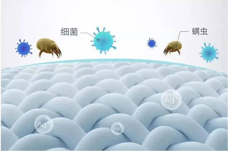 细菌_检测_产品
