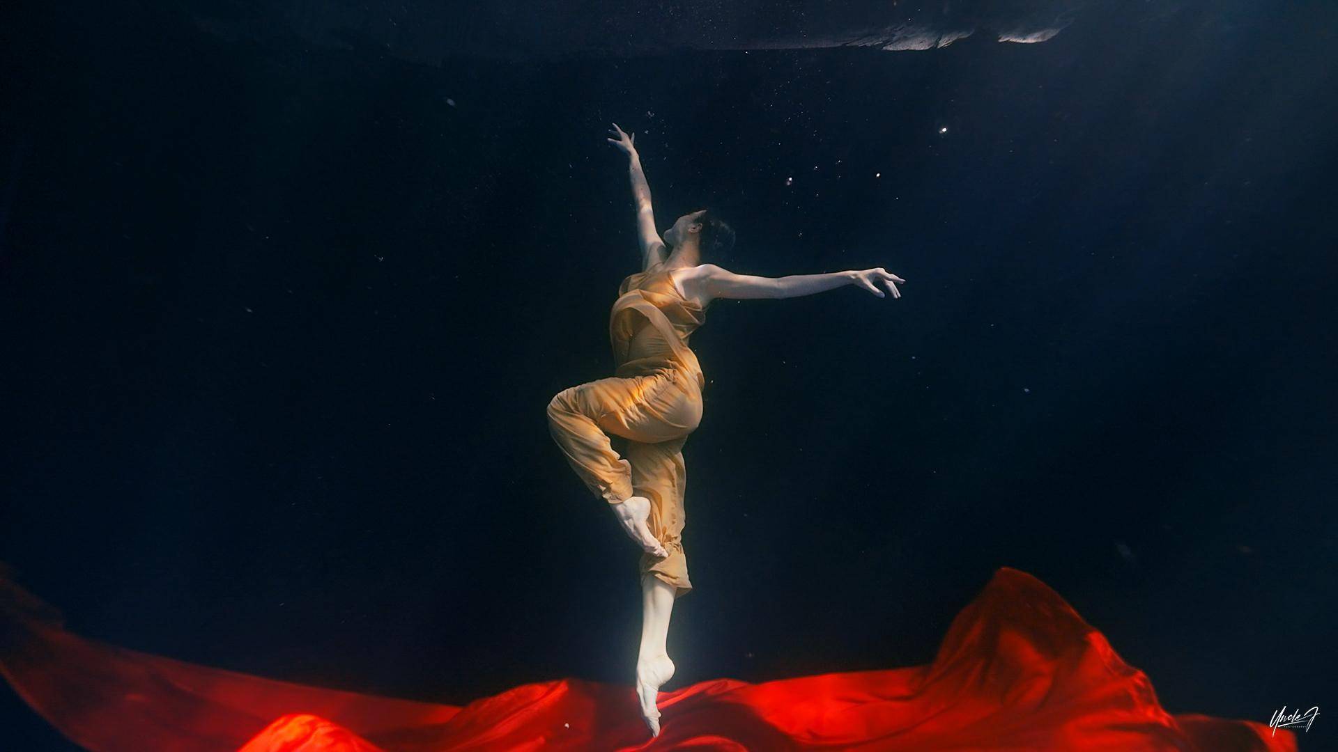 深读深圳 | 多部网红水下舞蹈作品"深圳造"_张娅姝_城市_团队