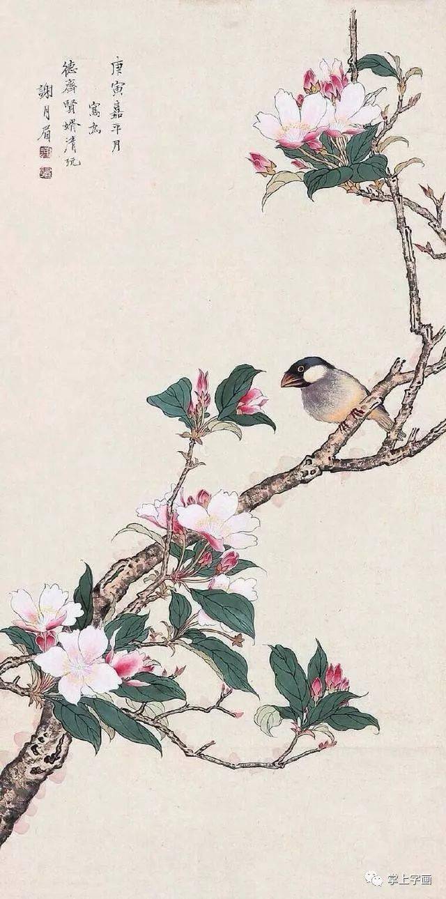 谢月眉花鸟画图片