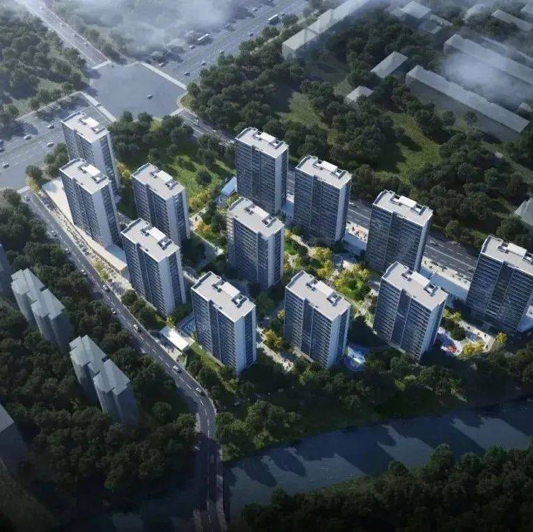 杭州主城区首个共有产权住房项目设计图公示,规划新建12幢高层_笕桥_地块_服务