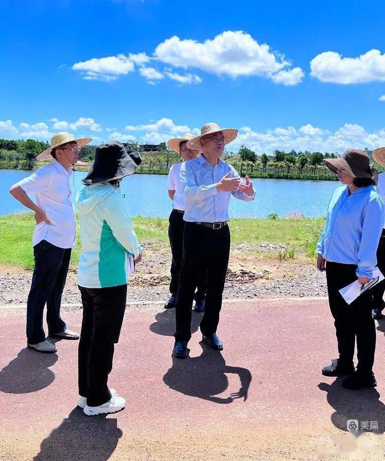 丁飞副市长现场调研城镇内河湖不稳定达标水体治理工作