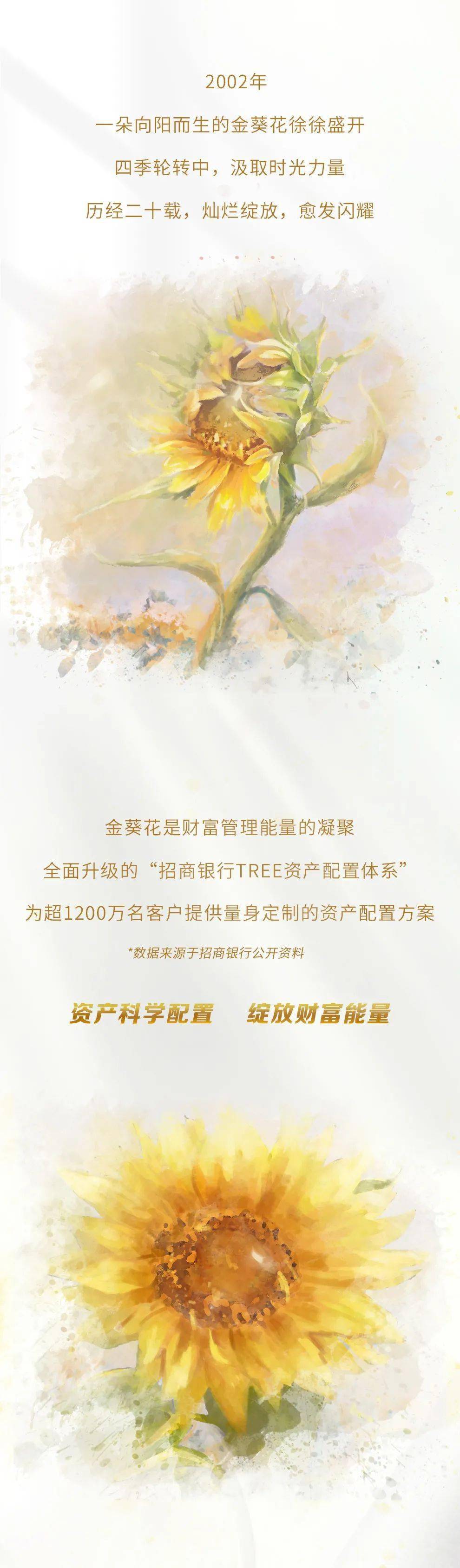 招行金葵花20周年,邀您亲启财富管理专属账单_系统内_媒体_时光