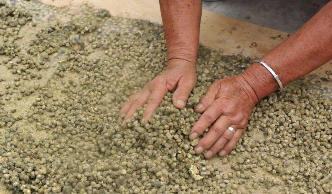 捂瓜豆儿了面临失传的朱仙镇民间美味蒸馍夹瓜豆的味道你还记得吗