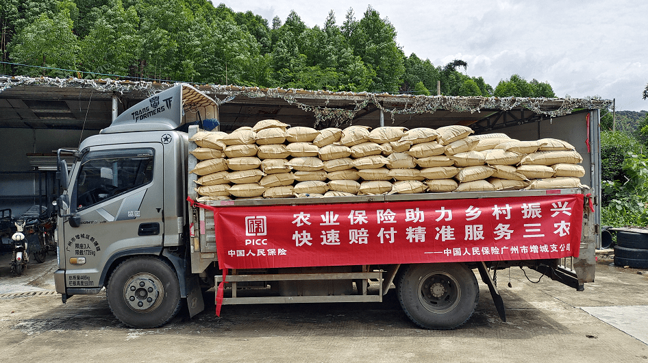 暴雨后第一笔农业保险理赔款到账中新镇开通绿色理赔通道
