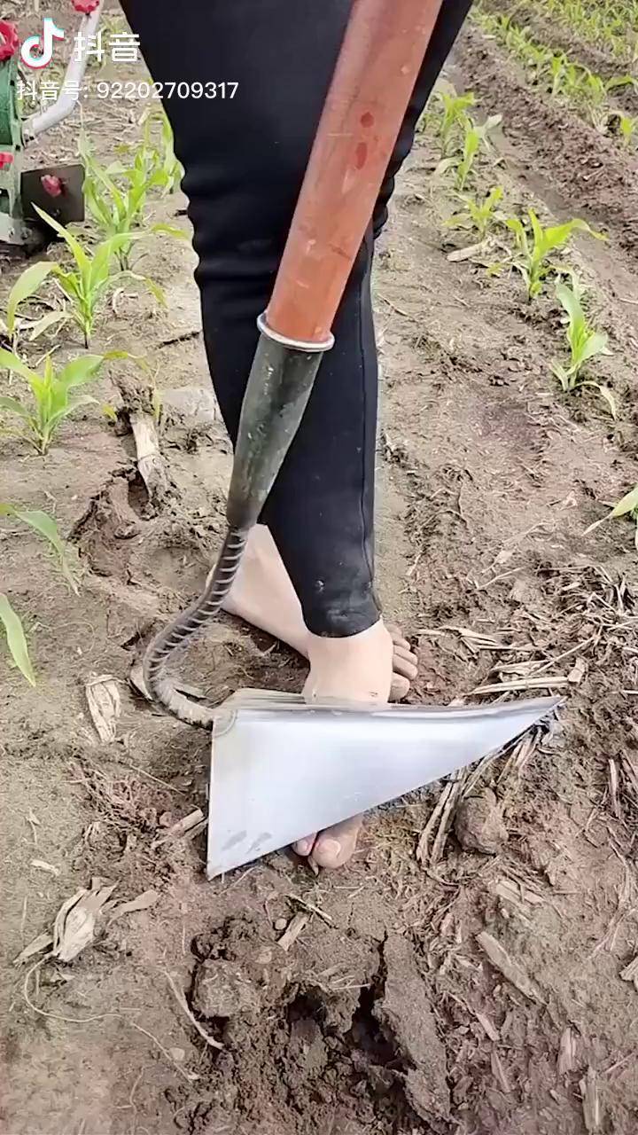 锰钢三角锄头可开沟培土锰钢三角锄头三农农村生活