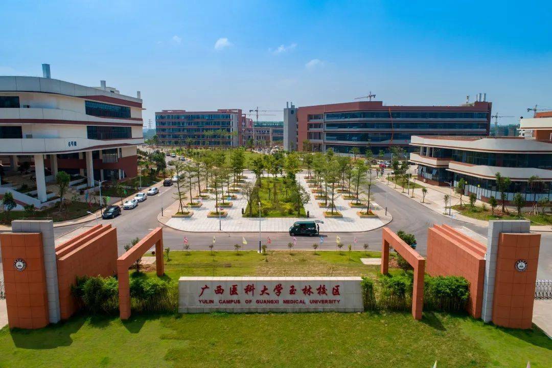广西高考分数线出炉!欢迎报考广西医科大学!_招生_咨询_弘医