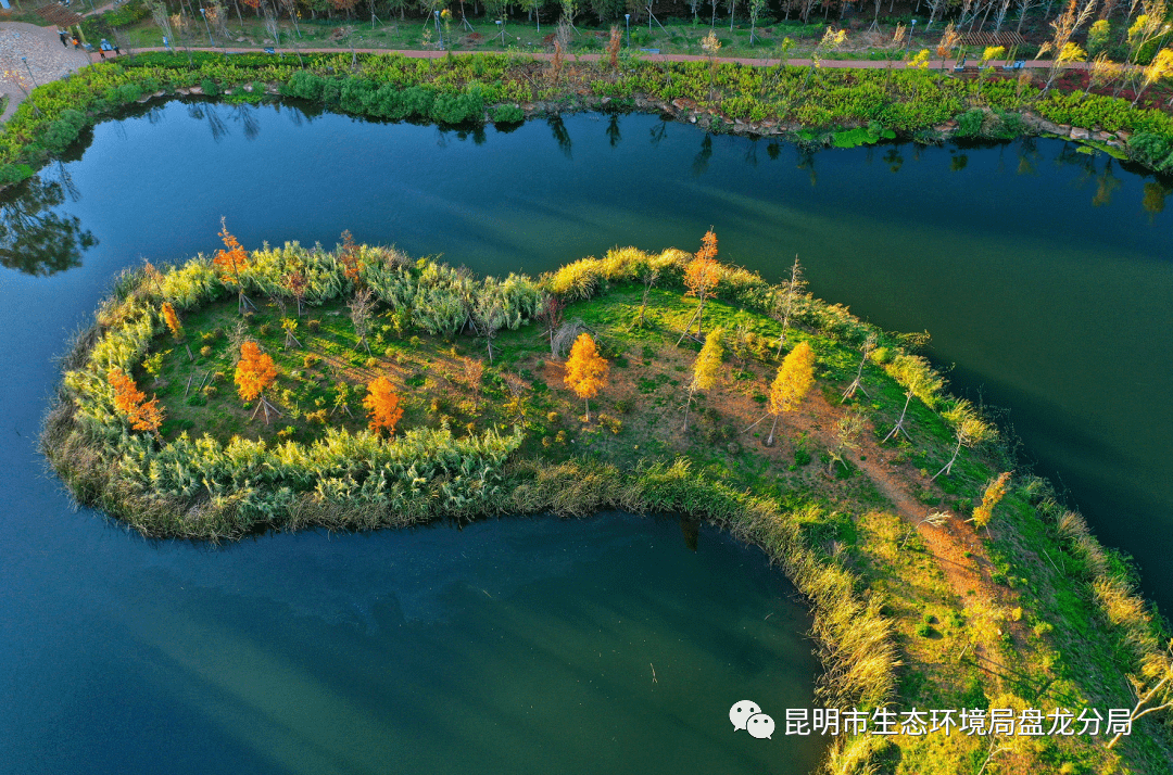 包含九年级道德与法治生态文明专项（绿色发展）的词条