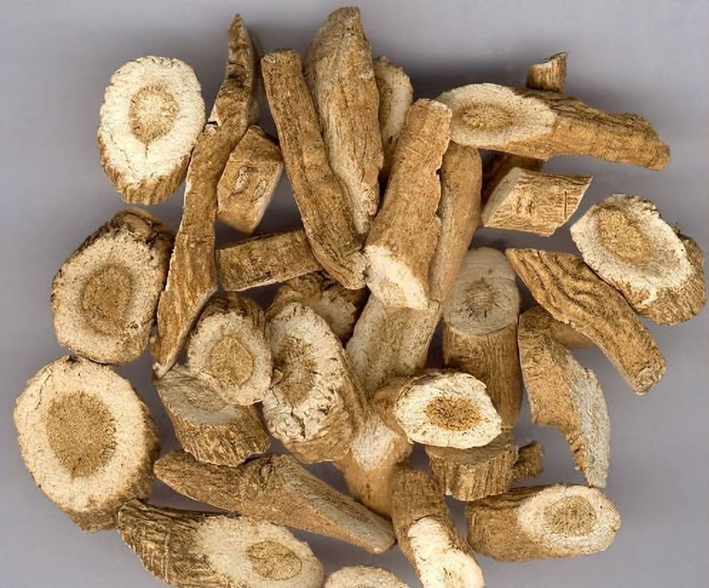 每日一药之板蓝根