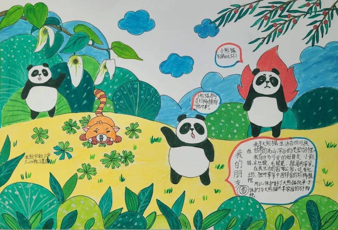 久等了走进大熊猫国家公园描绘大熊猫的朋友圈绘画比赛评比结果揭晓啦