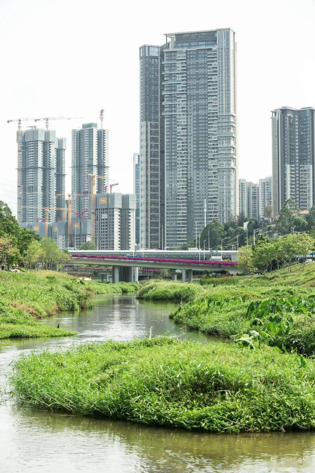 深圳生活指南(深圳的生活方式)