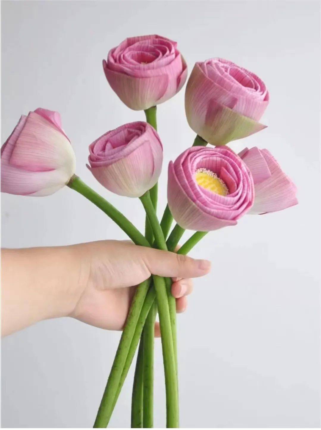 荷花莲蓬切花上市啦你还在等什么