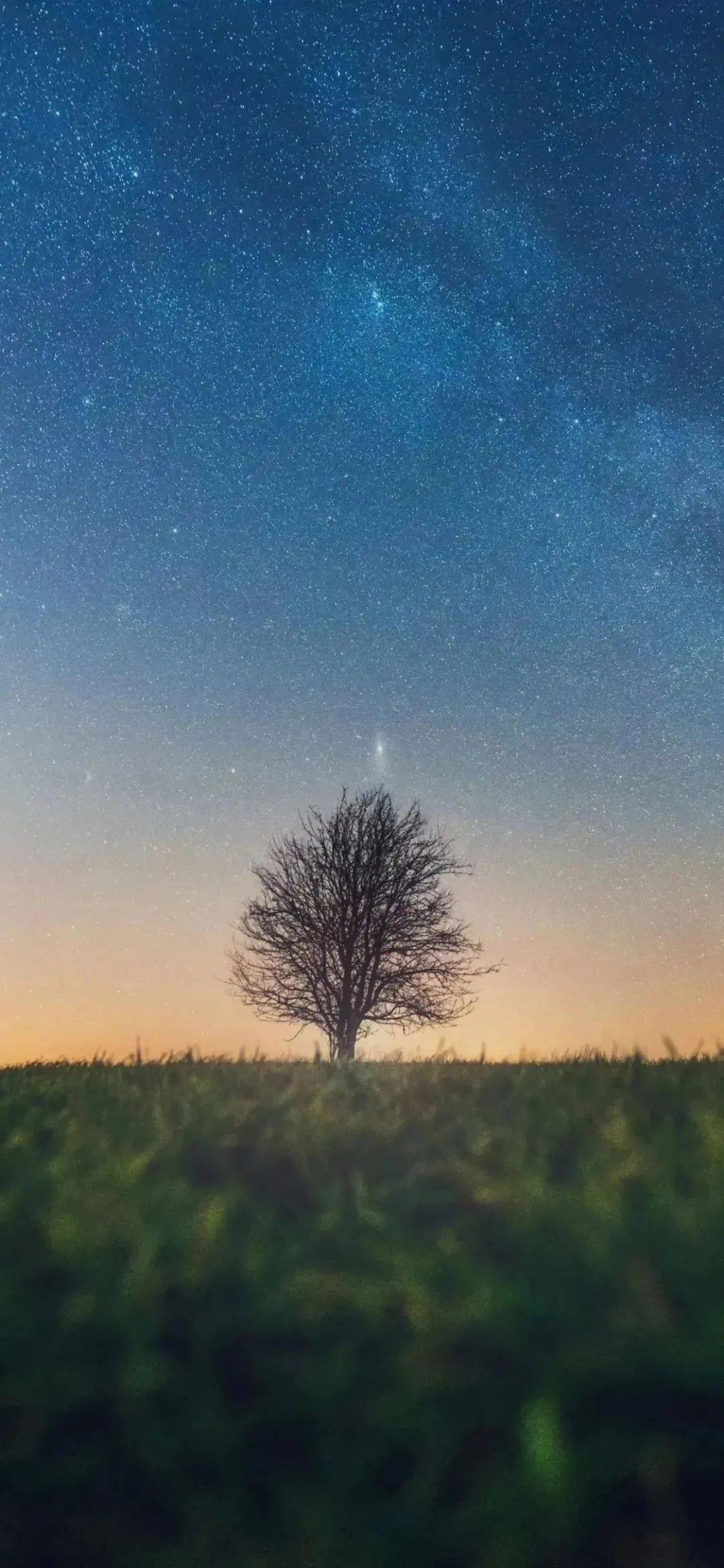 1080_2337竖版 竖屏