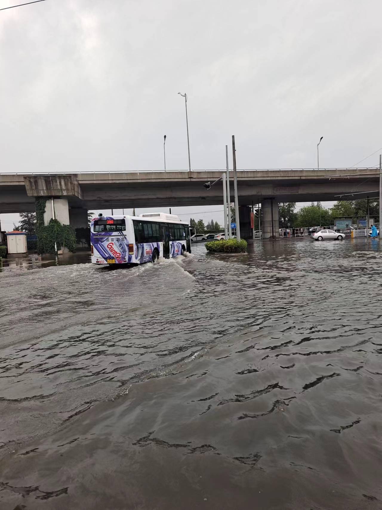 亲历青岛大暴雨河边的木栈道都戴上了项链