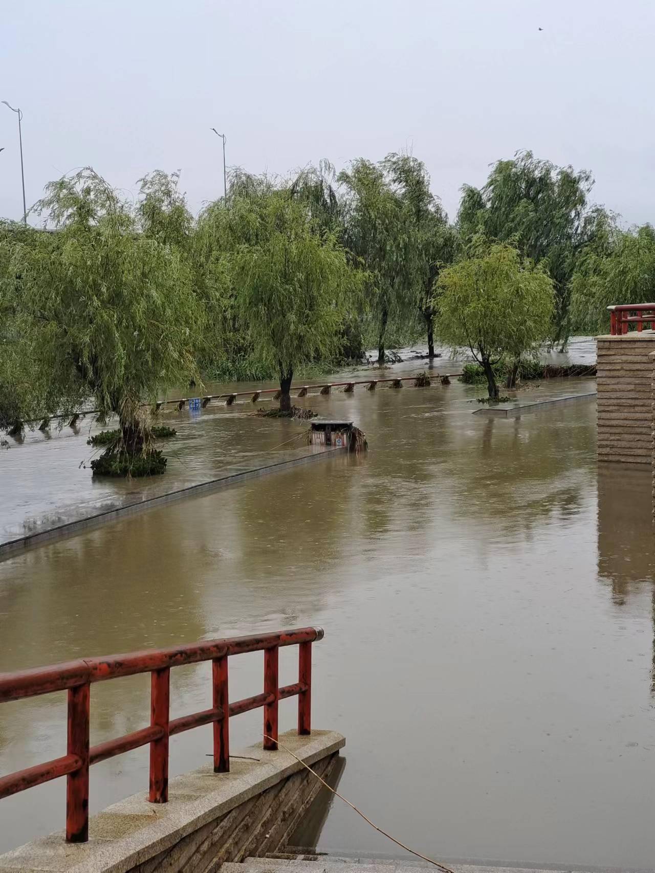 回家路过舞阳路一个路口,积水淹没了道理,行人只能挽着裤腿涉水而过