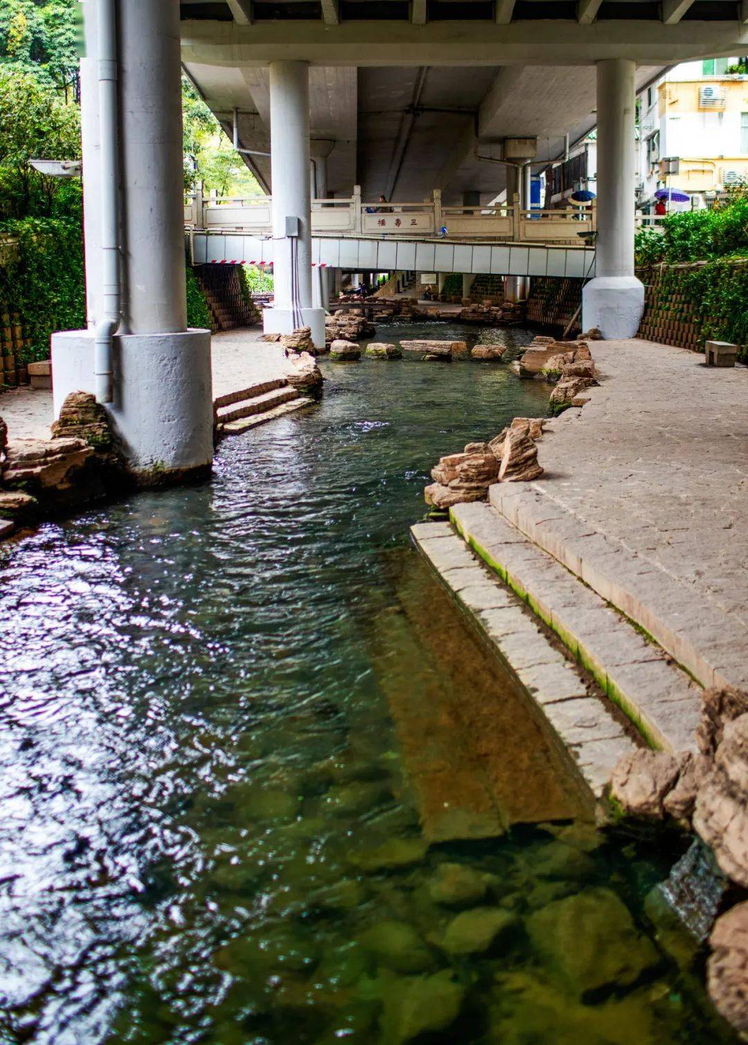 绿色越秀丨致"我与东濠涌的十年"_广州_清水_志愿