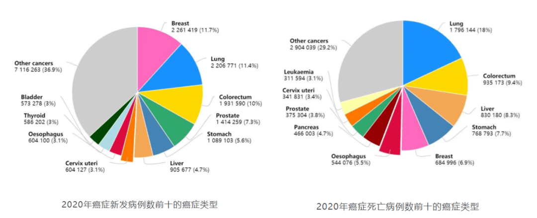 在15至44岁女性的癌症中