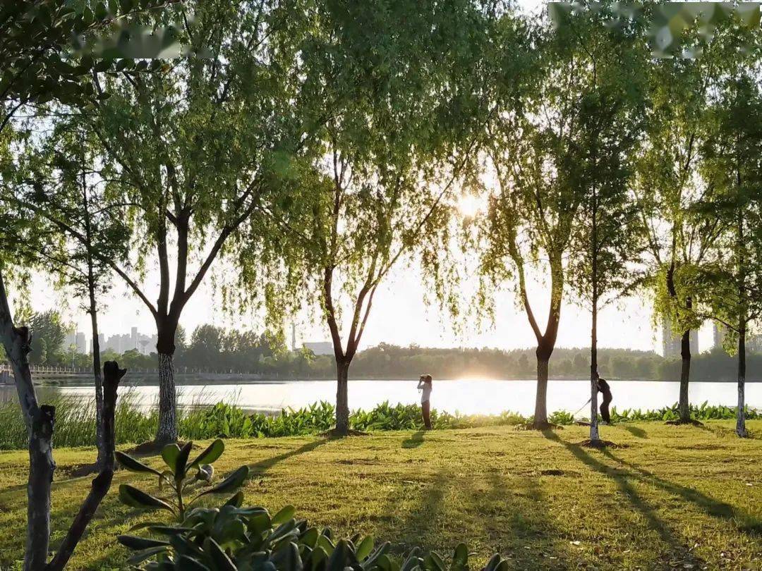 黃璜夕陽下的陶衝湖陶衝湖公園楊冬夏至晴空合肥市淮合花園小學吳夢燕