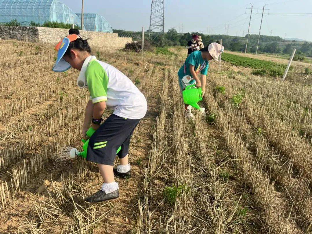 【成长·家校】小蜜蜂爱劳动 勤播种享收获——蜊小一五班小农人参与