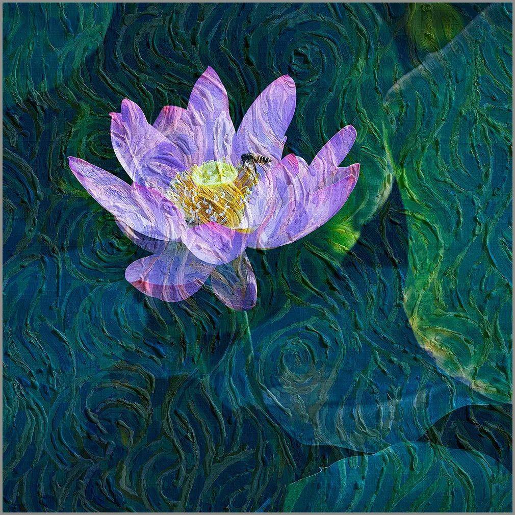 会员佳作 | 石广智:荷塘印象_摄影_作品_油画