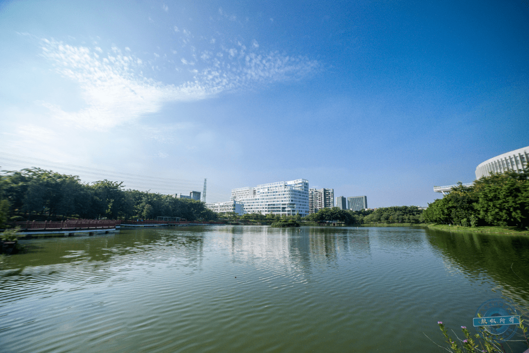 前方到站东莞职业技术学院