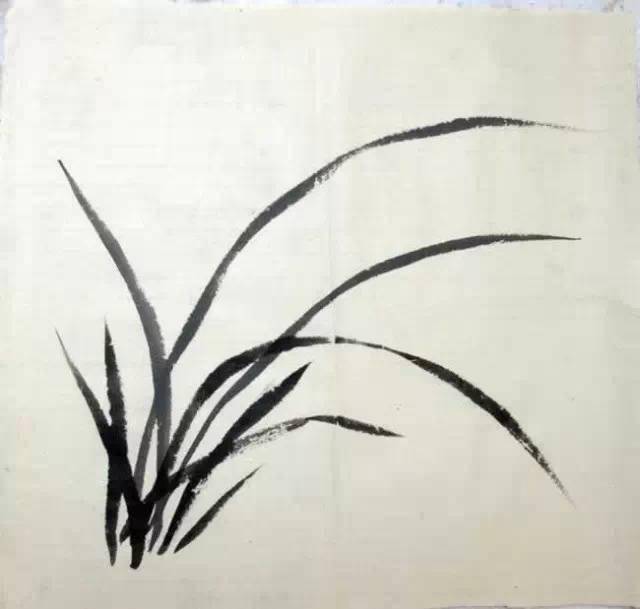 手把手的教如何画兰花兰叶