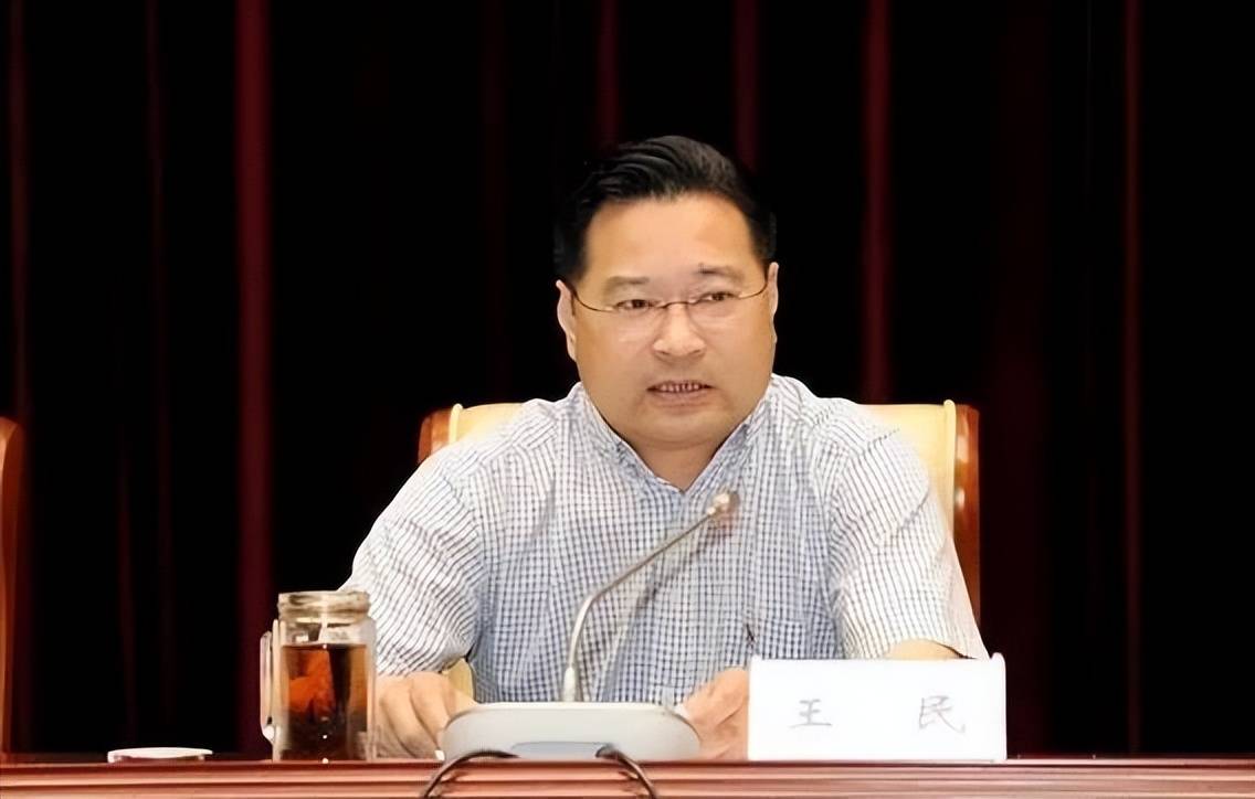 安徽省广播电视局原一级巡视员王民被双开