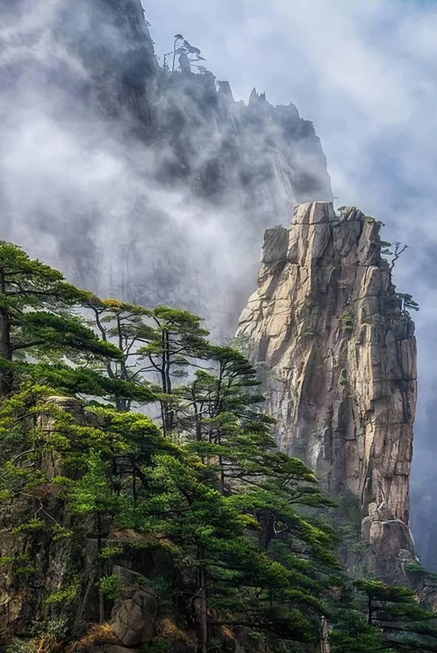 黄山云海,恍如人间仙境,美到极致!67676767_云海_黄山_极致