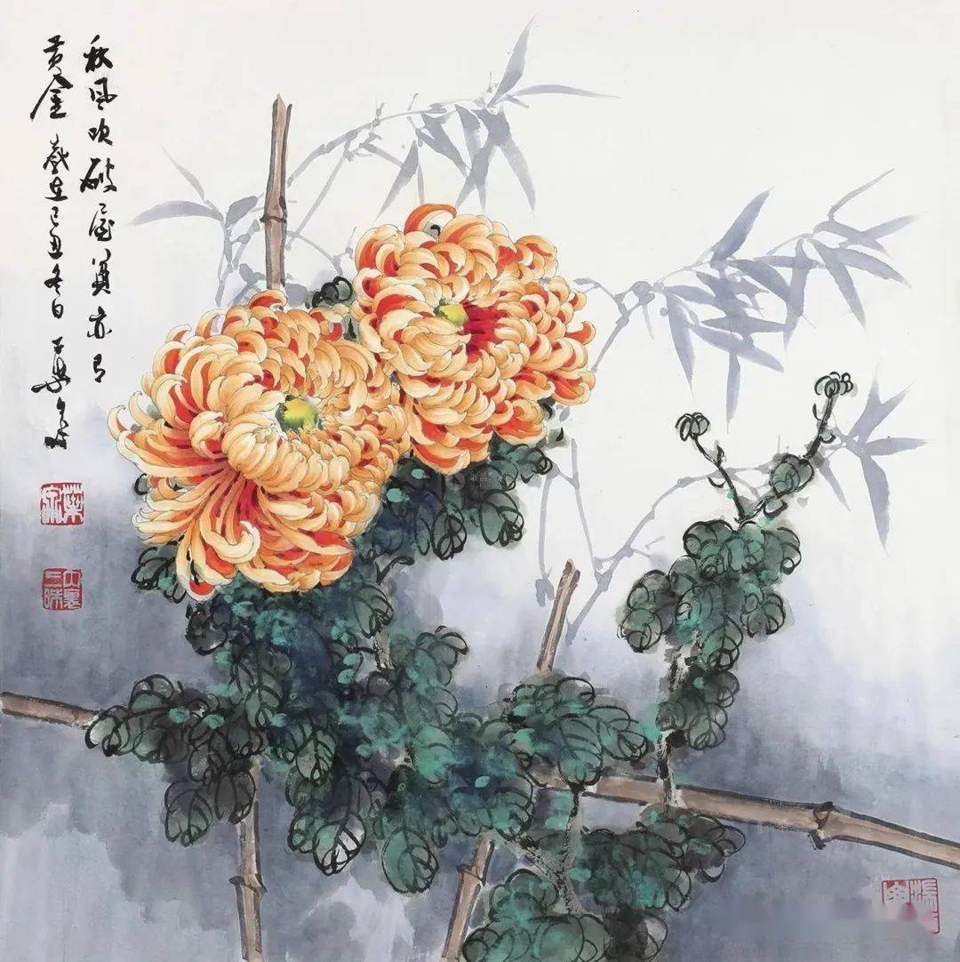 菊花王子叶泉