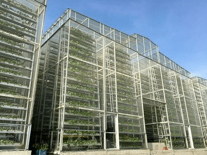 三农辞海丨垂直农业