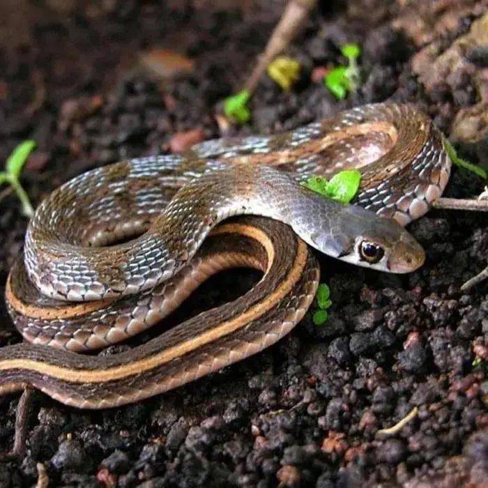 直逼40快来海立方海洋公园解解暑