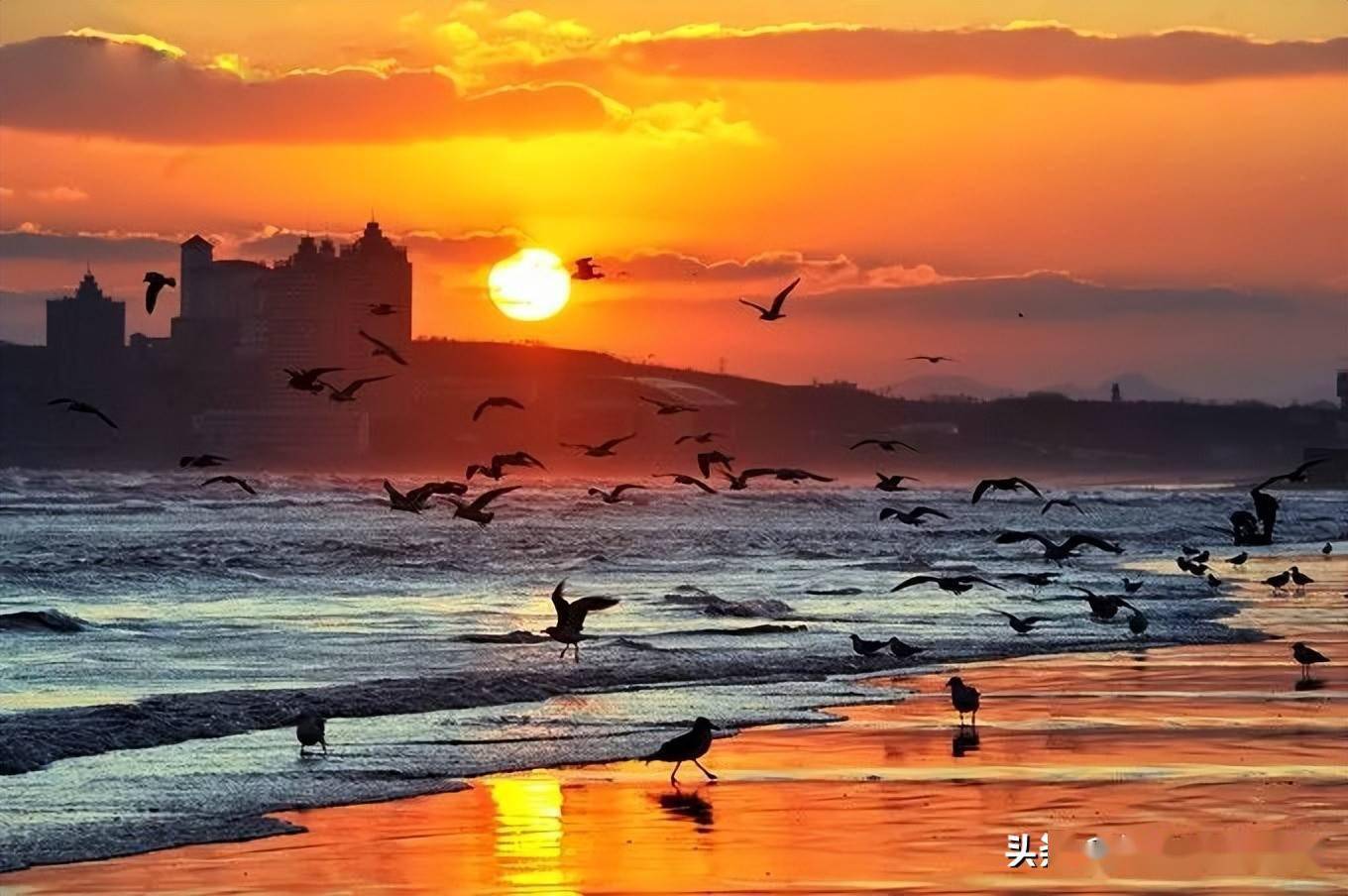 烟台有一种美,叫海上日出!_大海_都是新_朝日
