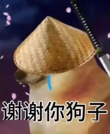 cheems头戴斗笠,手执佩剑,在各种挑逗性视频即将触及高潮的前一秒出现