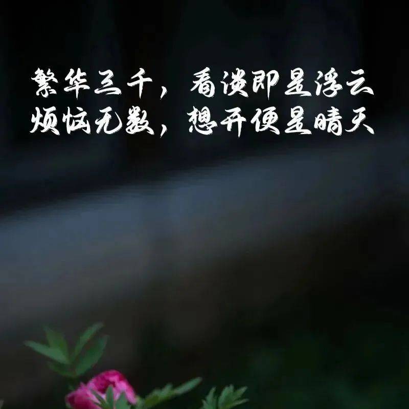 一段人生漂亮话!_余生_关系_感觉