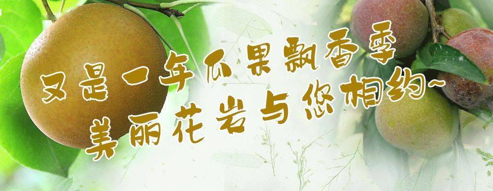 味 你而来 22潼南 花岩水果采摘节7月4日盛大开启 花岩镇 梨园 双江镇