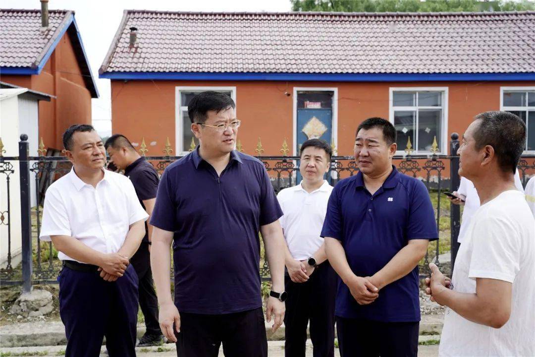 县委书记孙维良深入部分乡镇调研精品示范屯建设工作_金川镇_群众