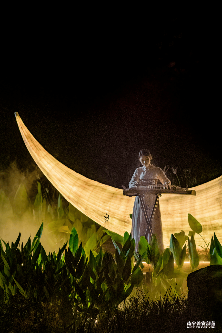 打卡南宁人的莫奈花园来青秀山解锁你的灯光乐舞夜生活