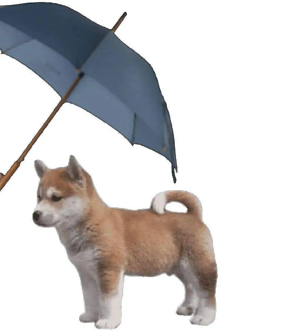 搞笑表情包I 战术性装睡_搜狐网, image size:1024x1127