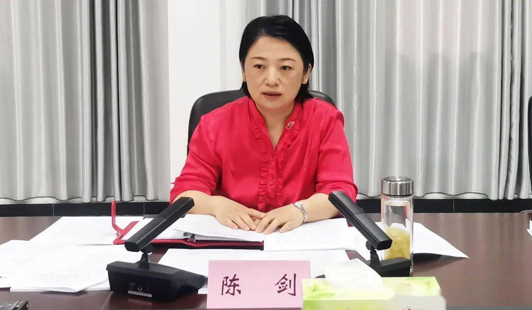 陈剑压实责任狠抓落实推动创文工作取得实效