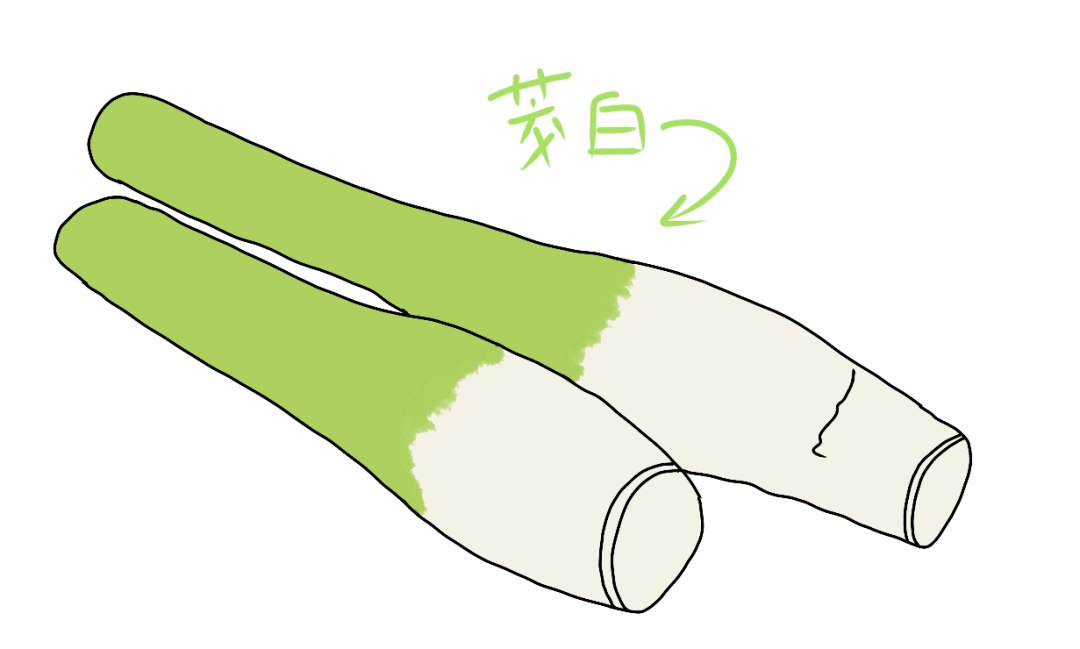 直播预告 | 夏日"茭"响曲,共赴助农直播之约_茭白_前路_原生态