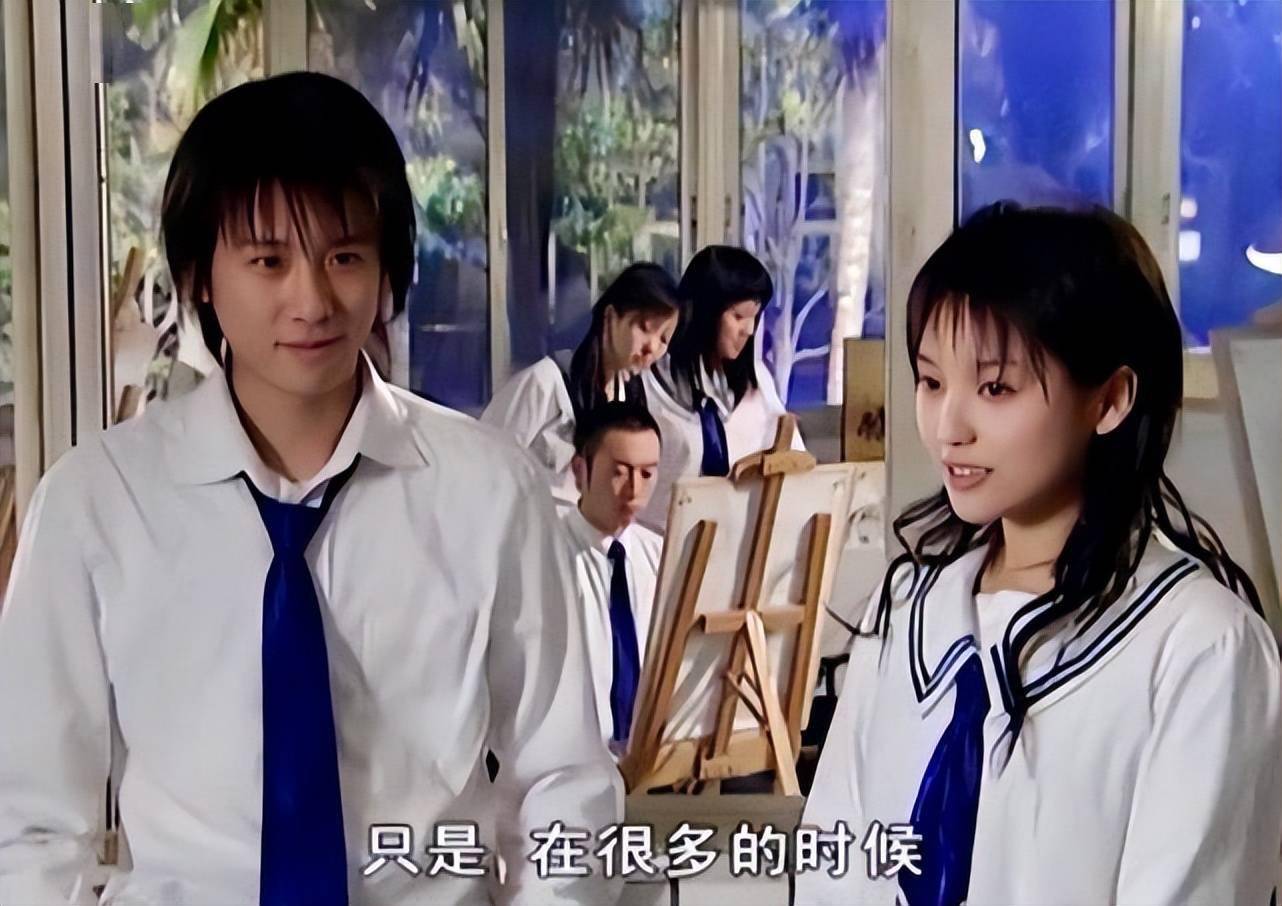 17岁凭《十八岁的天空》走红,37岁不温不火,李智楠做错了什么?