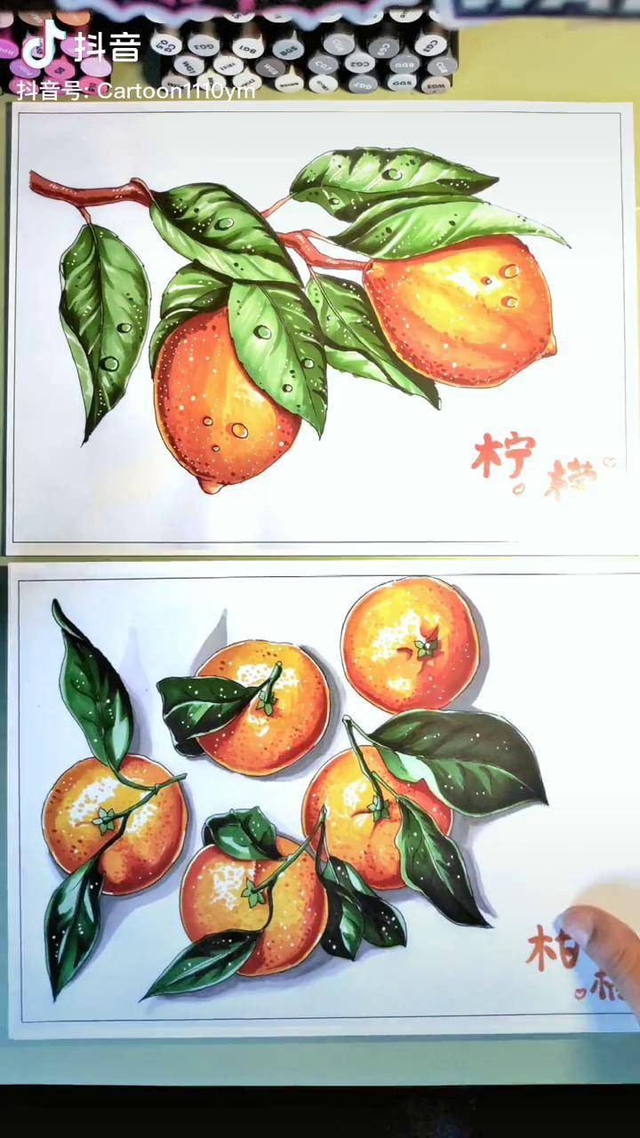马克笔果蔬手绘临摹卡少儿美术马克笔手绘
