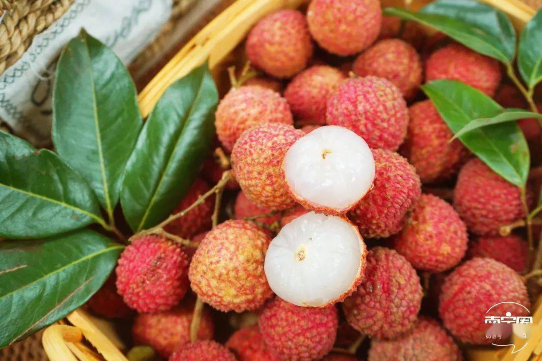 百年老树现摘直发灵山桂味无核荔枝爆汁清甜等你来尝一般超市买不到