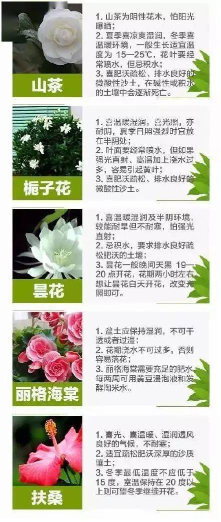 40种 常见植物养护法 养花不愁了 院子 交流 社群 40种 常见植物养护法 养花不愁了 院子 交流 社群