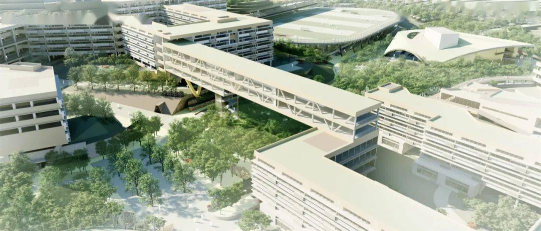 快来看西部重庆科学城这些学校未来将是这样子