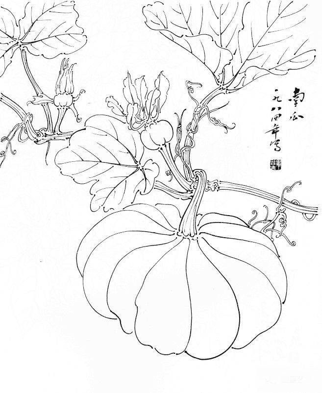 值得好好观摩的30幅蔬菜水果白描稿