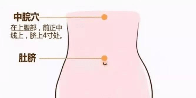中脘穴在人体正中线上,位于脐上4寸,是任脉上的一个重要穴位,主治胃痛